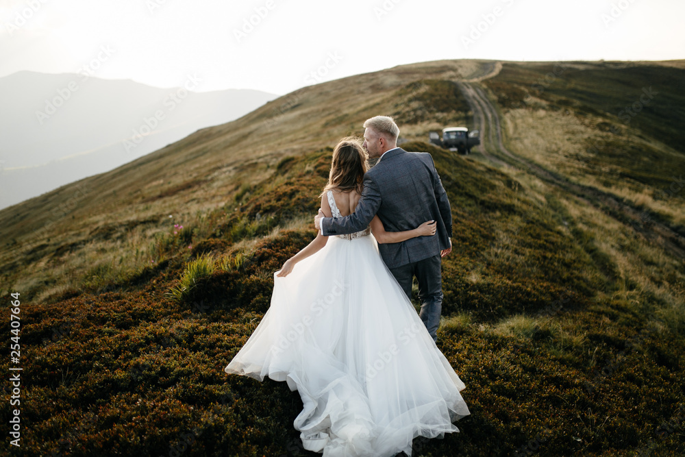 Beautiful wedding couple, bride and groom, in love on the background of mountains