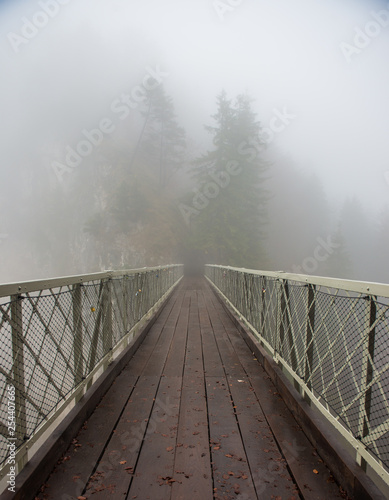 Dekoracja na wymiar  most-i-mgla-w-lesie