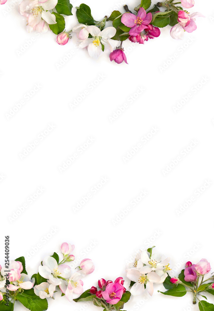 Frame of flowers apple tree on white background with space for text. Top view, flat lay
