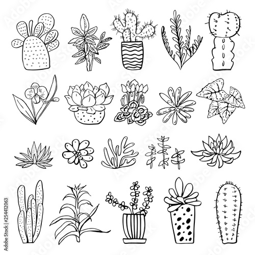 Houseplants, cactuses and succulents set. Vector hand drawn outline black and white sketch illustration