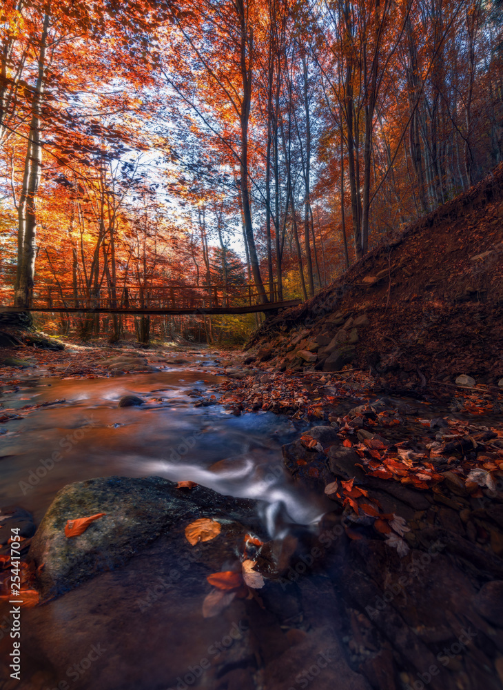 autumn colors , stream autumn colors , stream