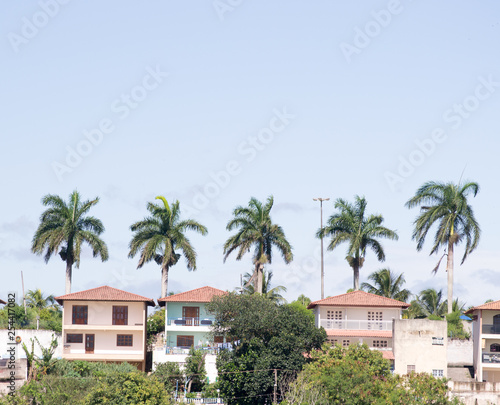 Five tall palm trees standing high over a residential center and a aquapark in the Espirito Santo State near the city of Vitoria in Brazil © eugpng