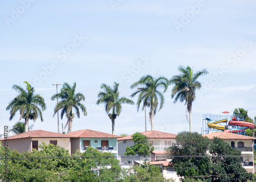 Six tall palm trees standing high over a residential center and a aquapark in the Espirito Santo State near the city of Vitoria in Brazil © eugpng