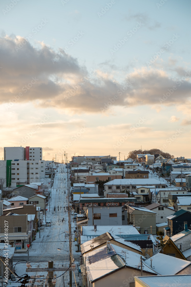 Fototapeta premium 冬の坂道風景