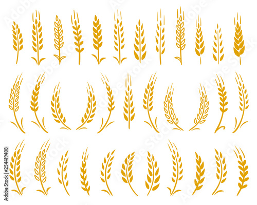 hand drawn set of yellow wheat ears icons