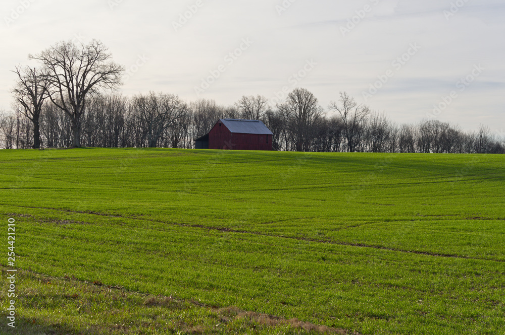 Obraz premium Barn on the Hill