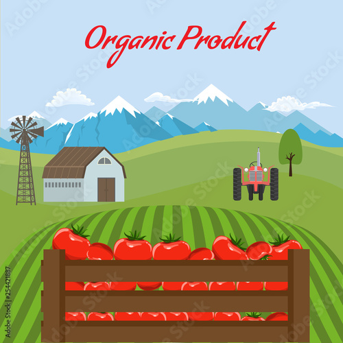 Tomato mockup in farm landscape background. Label design for tomato products. Flat color style vector illustration.