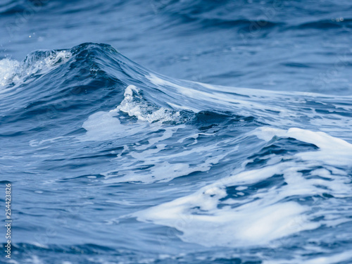 Wallpaper Mural 美しい大波 Torontodigital.ca