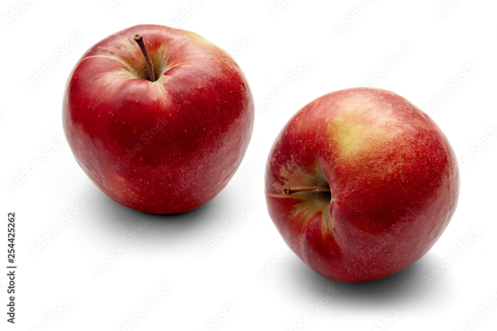 Two red apples on a white background Two red apples on a white background