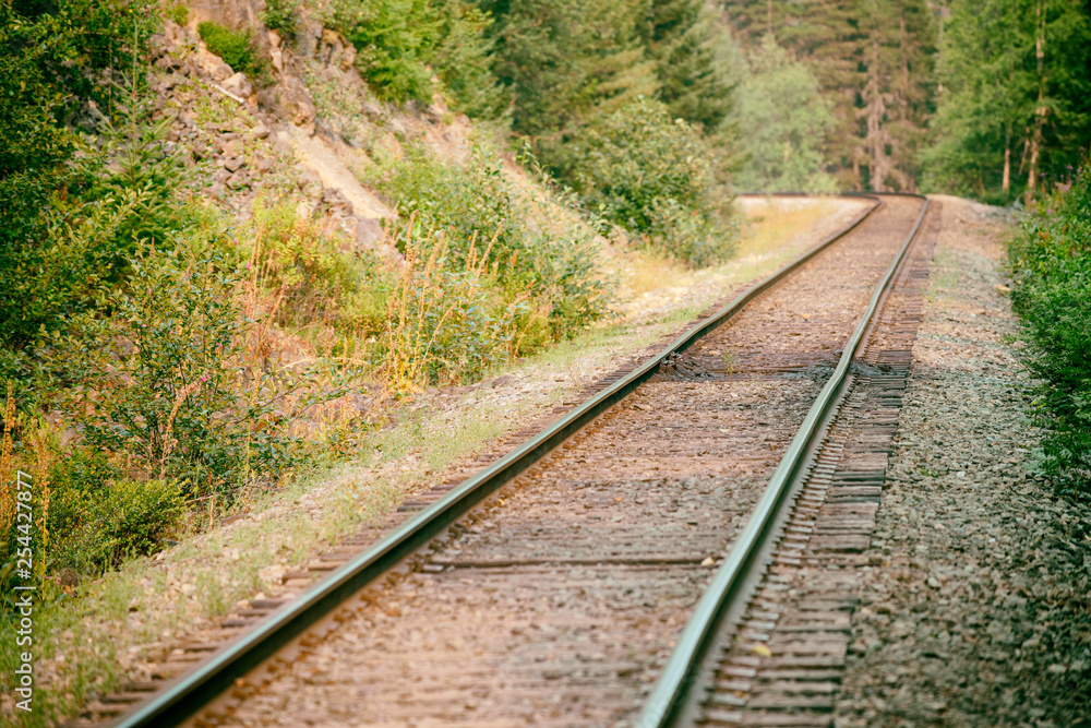 Railway surrounded by forest ground view Railway surrounded by forest ground view