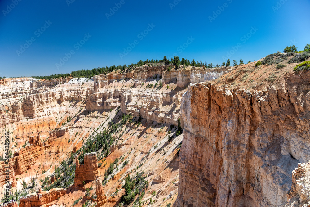 Bryce Canyon National park landscape in summer
