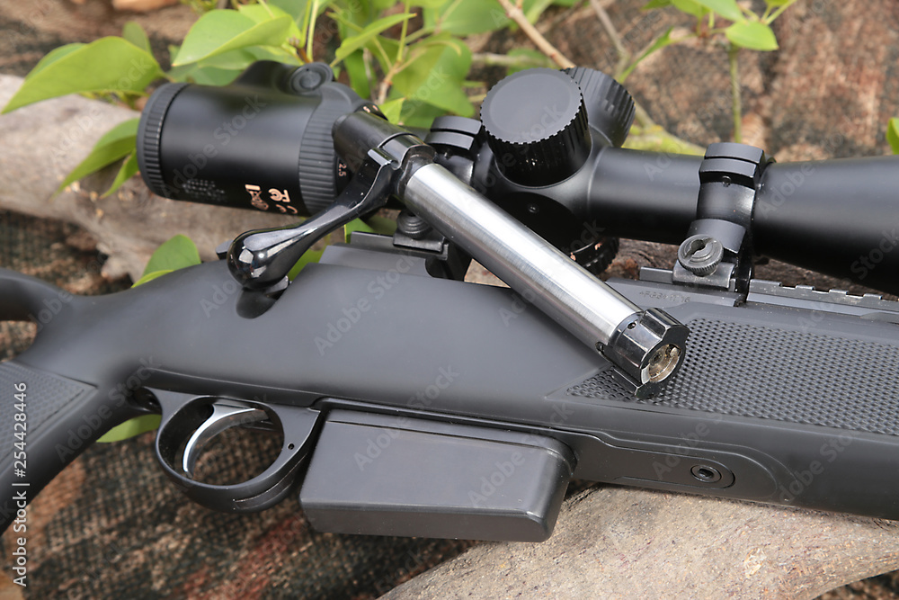 Obraz premium Jagdgewehr