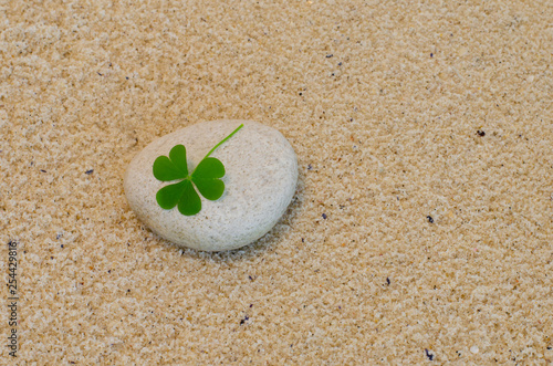 A clover leaf arranged on a beach pebble with beach sand in the background.