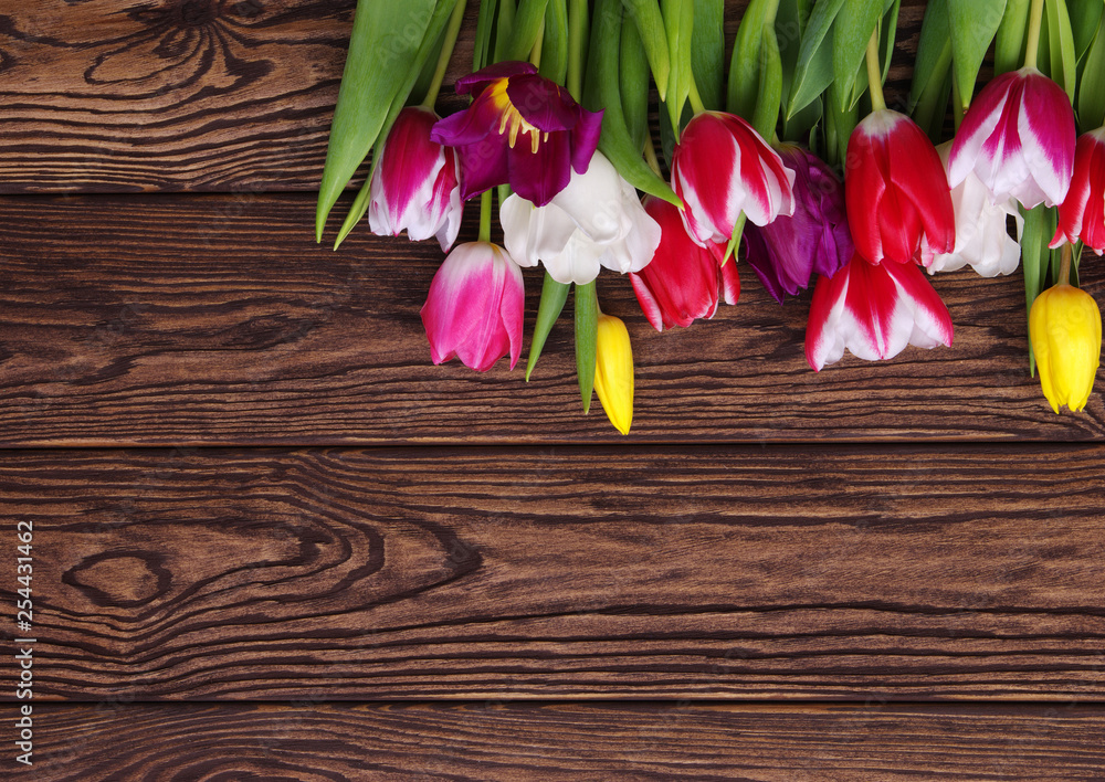 tulips on wood background