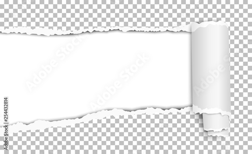 Oblong torn hole in transparent sheet of paper with shadow and paper curl. White resulting background. Vector paper mock up.