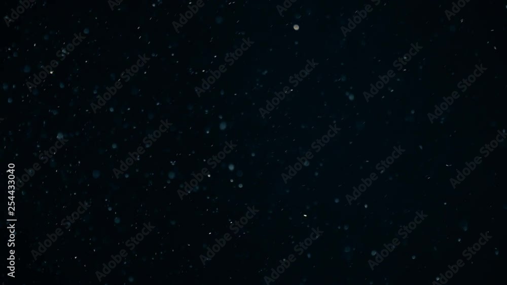 Natural Organic Dust Particles Floating On Black Background. Dynamic Dust Particles Randomly Float In Space With Fast And Slow Motion. Shimmering Glittering Colored Particles With Bokeh In The Air. Natural Organic Dust Particles Floating On Black Background. Dynamic Dust Particles Randomly Float In Space With Fast And Slow Motion. Shimmering Glittering Colored Particles With Bokeh In The Air.