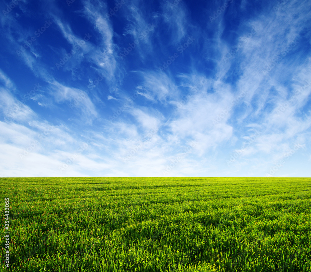 Green field and blue sky Green field and blue sky
