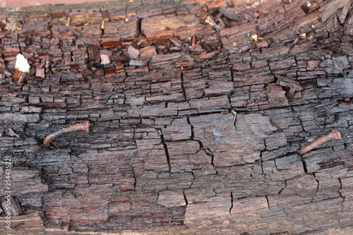 texture of old wall