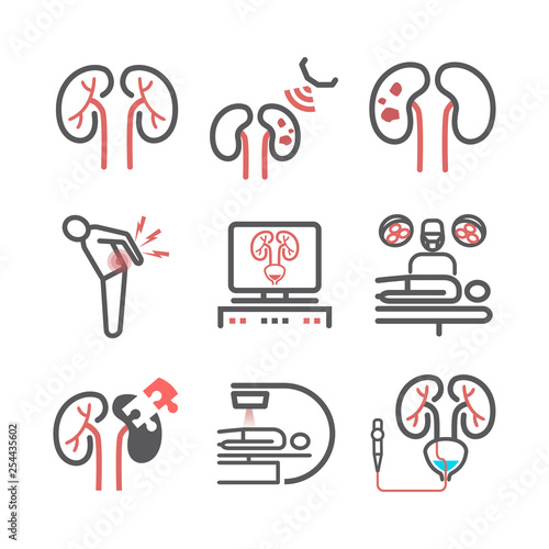 Kidney stones. Symptoms, Treatment. Line icons set. Vector signs for web graphics.