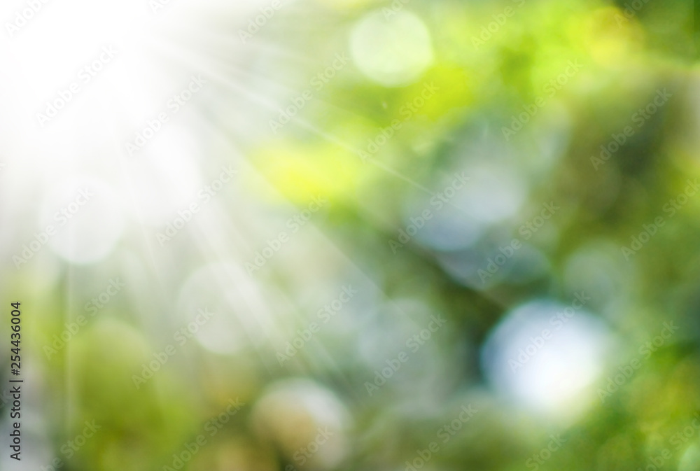 abstract image of natural blurred background close up