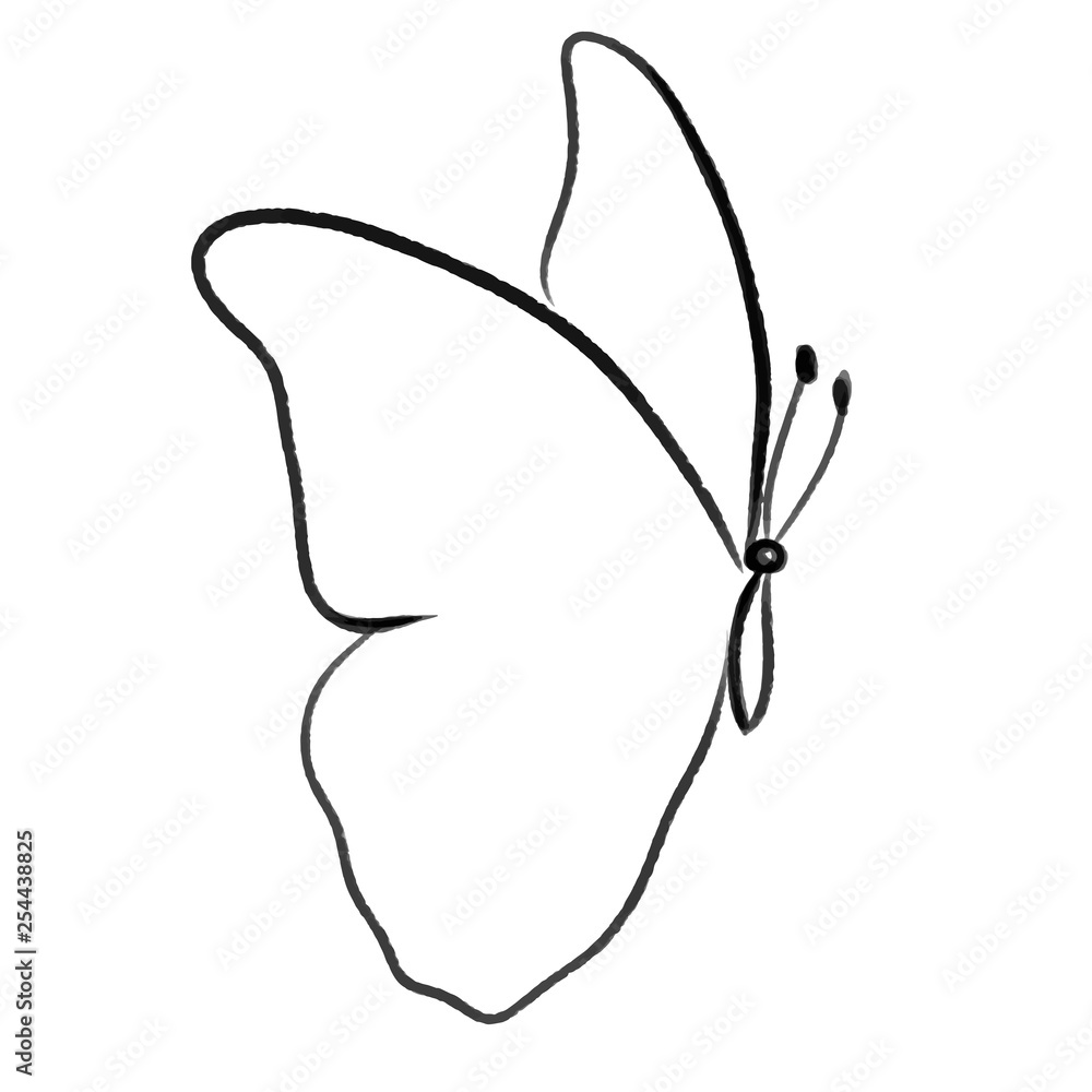 vector butterfly line illustration vector butterfly line illustration