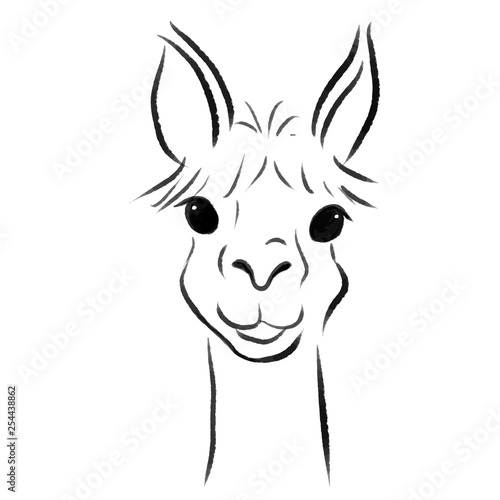 lama line illustration 