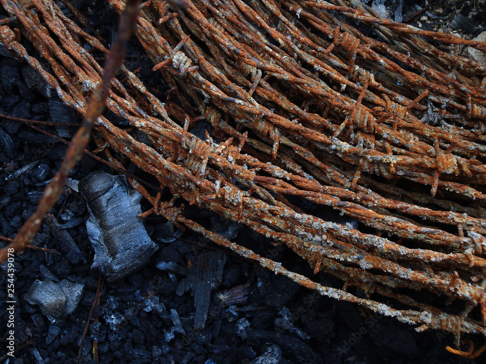 texture of a rusty barbed wire texture of a rusty barbed wire