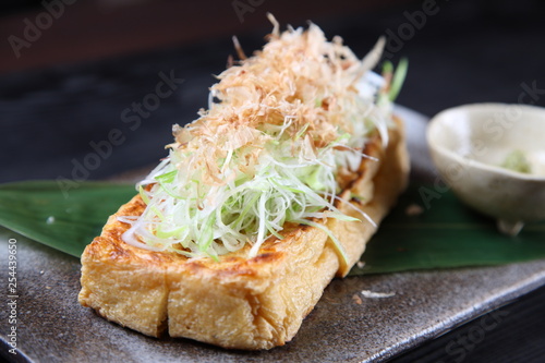 Tofu Cutlets with chopped green onion photo