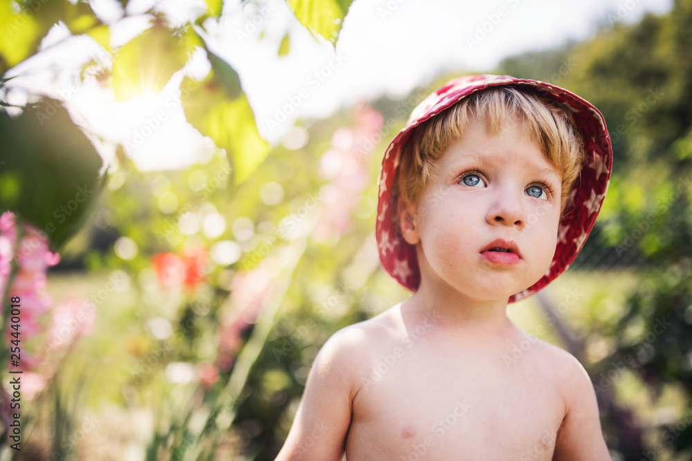 Fototapeta premium Small boy with a hat standing outdoors in garden in summer. Copy space.