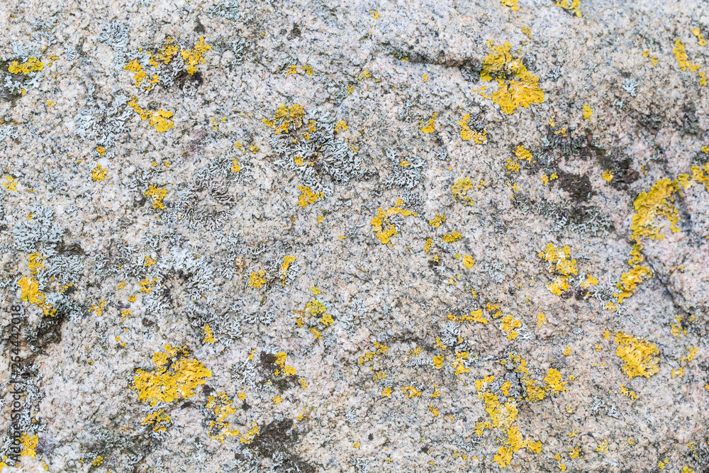 Abstract blurred stone background with moss Abstract blurred stone background with moss