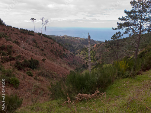 Wanderung entlang den Bewässerungsgräben, Levada auf der Insel Madeira Portugal im Atlantischen Ozean.
