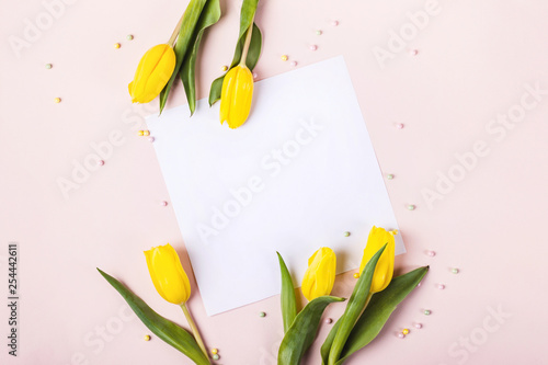 Beautiful yellow tulip flowers on pastel pink background for greeting message. Holiday mock up