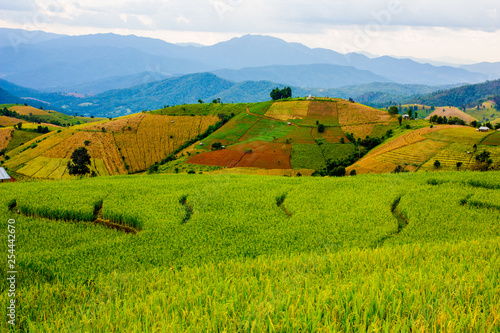 Φωτογραφία terraced rice field in Mae Jam, Chiang Mai, Thailand