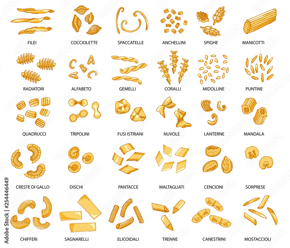 Premium Vector  Drawn set of types of pasta illustration italian pasta