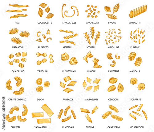 Hand drawn large set of different types of Italian pasta. Vector illustration, colored.
