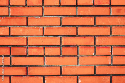 Wallpaper Mural the texture of the brick Torontodigital.ca