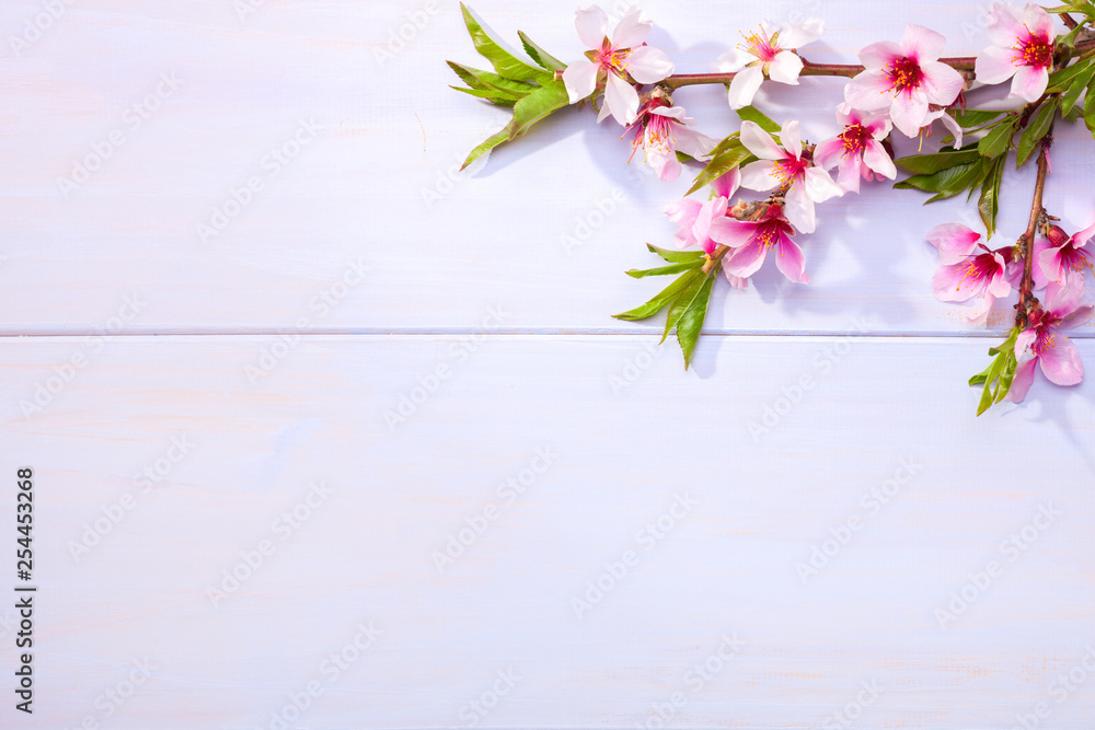 Flowering branches of Almond on a light lilac wooden table. Flowering branches of Almond on a light lilac wooden table.