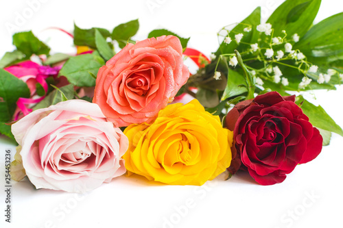 Colorful roses isolated on white background with place for text