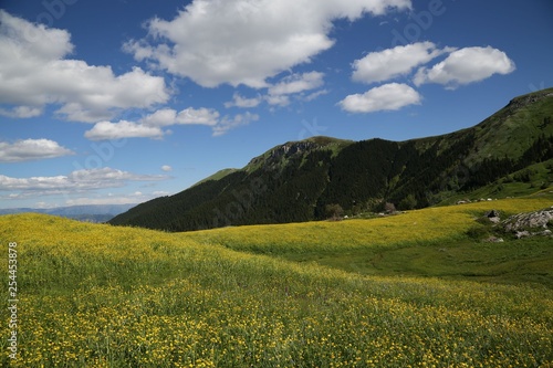 flowering meadows and village landscapes.savsat artvin turkey 
