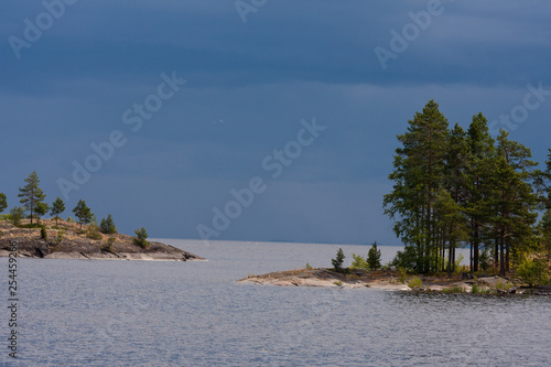trees on lake island  © Александр Мелёшкин