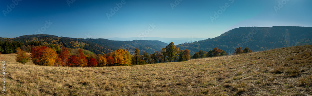 Fototapeta premium Landscape in the afternoon sunshine