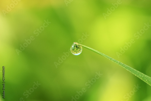 Beautiful close-up of dew diamond drops on grass with variable focus and blurred green background in the rays of the rising sun. Blur and soft focus.