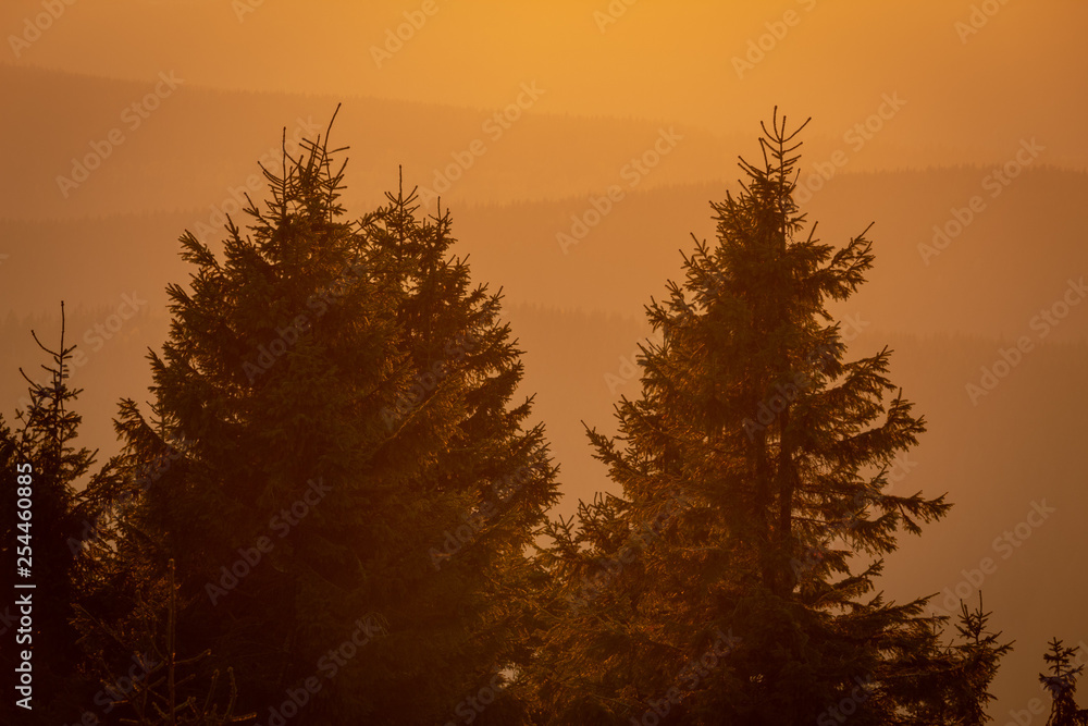 Landscape in sunset Landscape in sunset