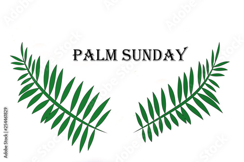 Palm sunday  on a white background