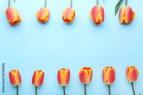 Bouquet of tulips on blue background