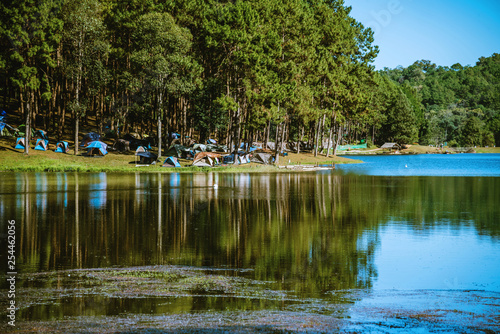 The beautiful natural landscape of the lake at pang ung, mae hong son in Thailand.