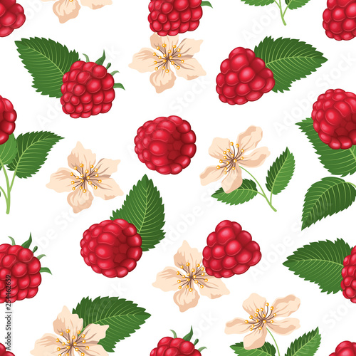 Seamless pattern with raspberry and blossom. Vector