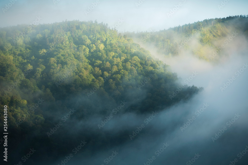 Obraz premium mountains in fog