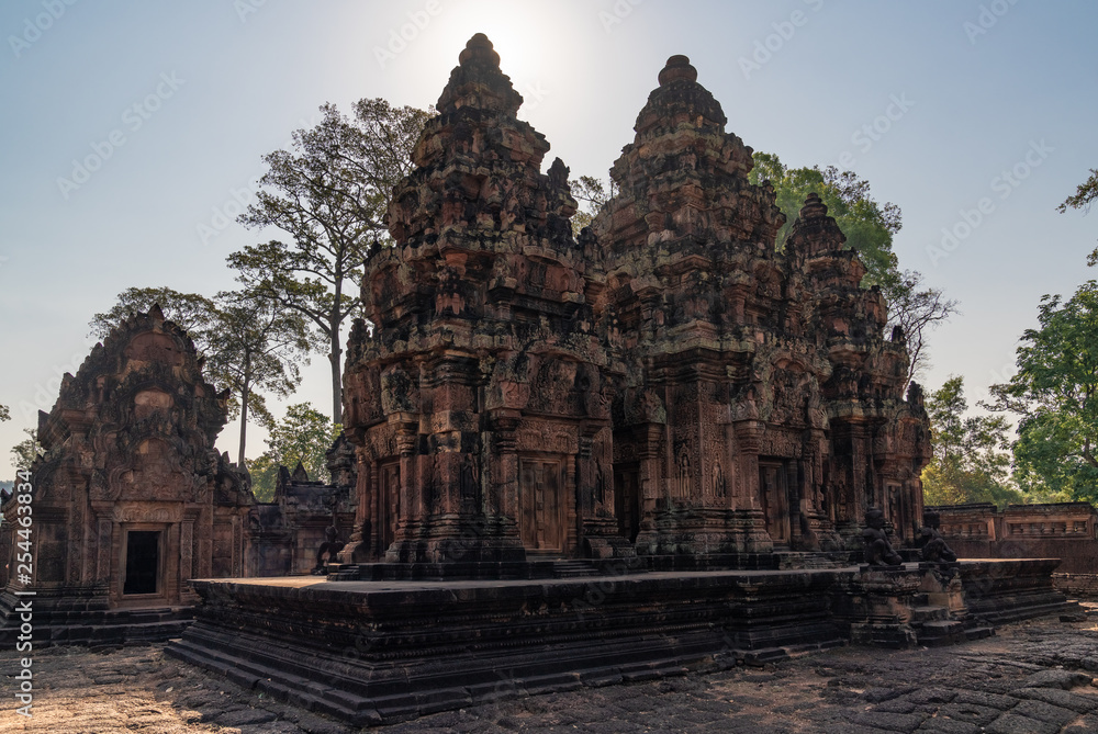 Palaces and temples of ancient Angkor