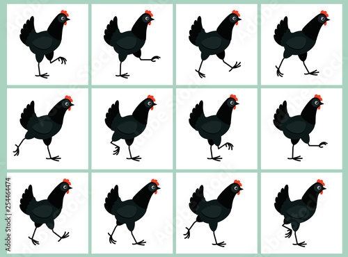 Walking black hen animation sprite sheet isolated on white background